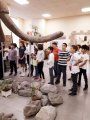 Էքսկուրսիա և «Հրաբուխներ» թեմայով դաս Հ․ Տ․ Կարապետյանի անվան երկրաբանական թանգարանում